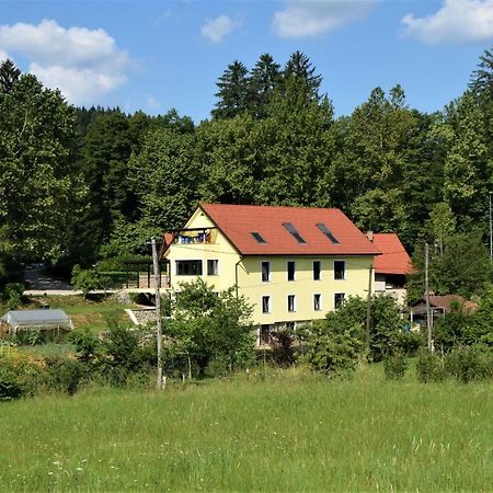 Apartmaji Maln Доленьске-Топлице Экстерьер фото