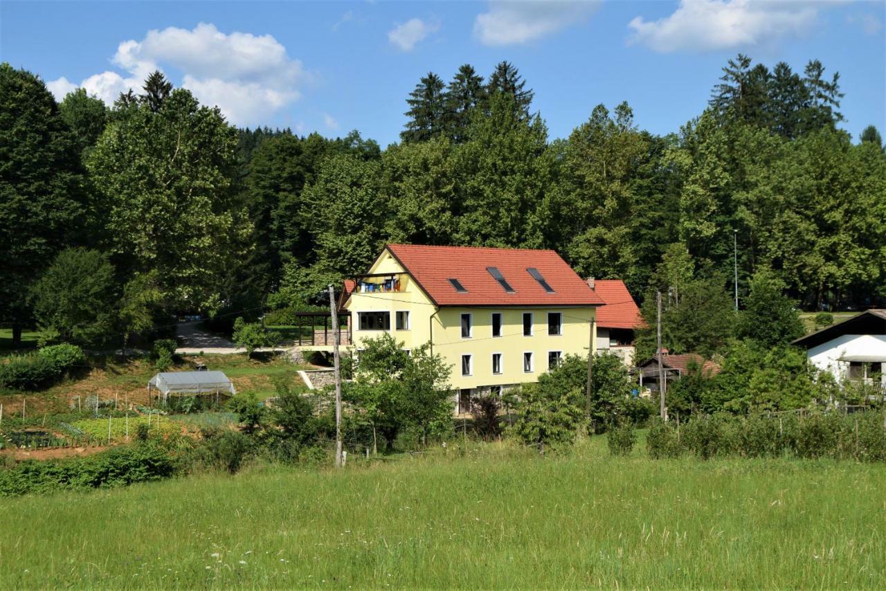 Apartmaji Maln Доленьске-Топлице Экстерьер фото
